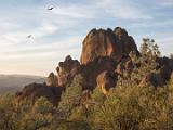 Pinnacles 030